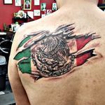 Coverup of an existing tattoo with the mexican flagFusion inkWorkhorse cartridge needles 