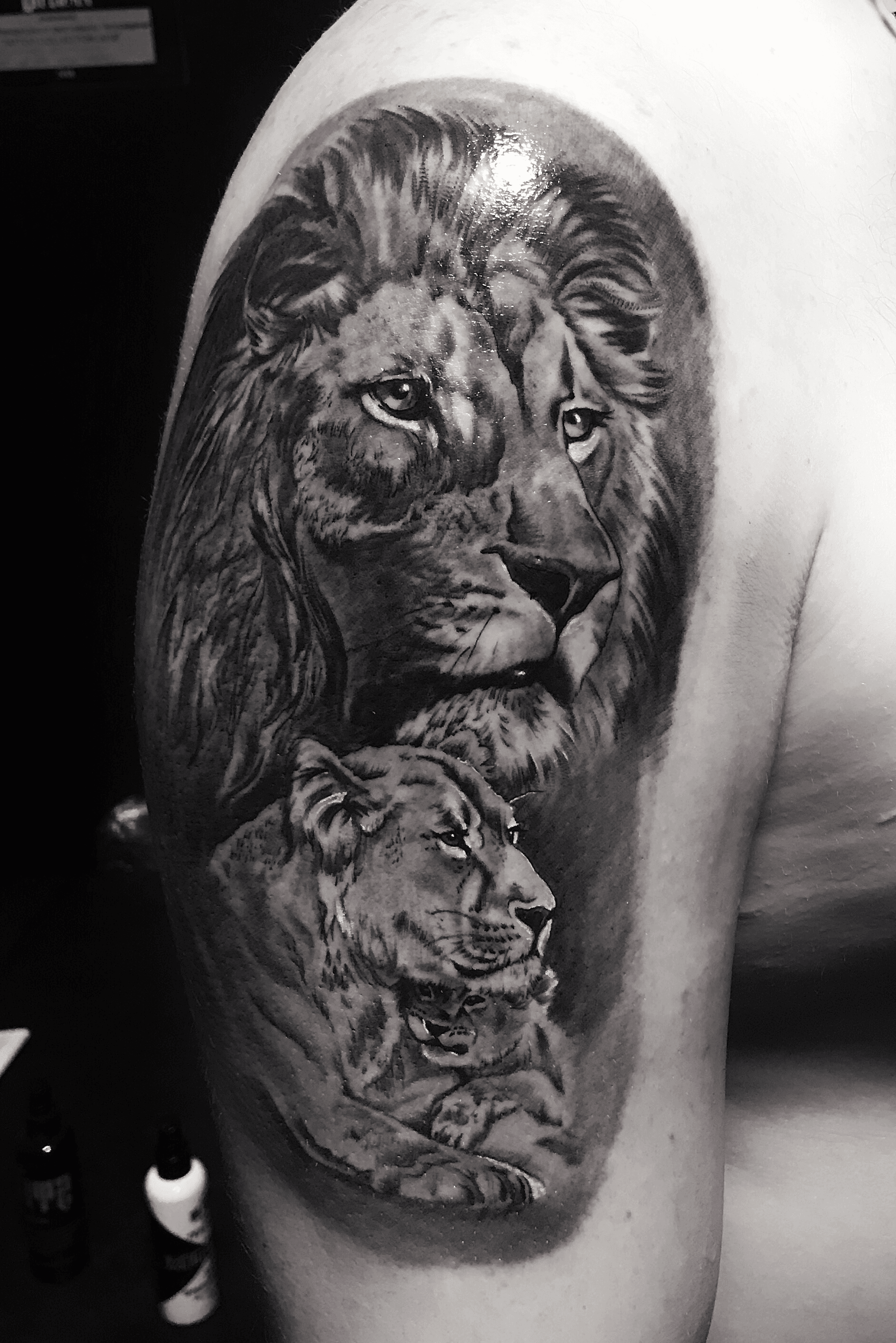Tattoo uploaded by Erick  Lion Family  Tattoodo