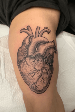 Blackwork anatomical heart.