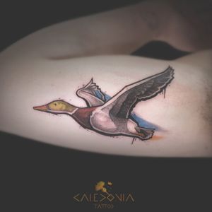"The flying mallard" For any tattoo enquiry, please contact me directly on Facebook. #caledoniatattoo #tattoodo #tattoo #mallard #mallardduck #animaltattoos #tattooartist #tattooart #duck #ink