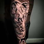 Lioness realistic black and grey #blackandgreytattoo #blackandgrey #realistic #realism #lionesstattoo 