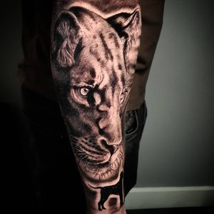 Lioness realistic black and grey #blackandgreytattoo #blackandgrey #realistic  #realism #lionesstattoo 