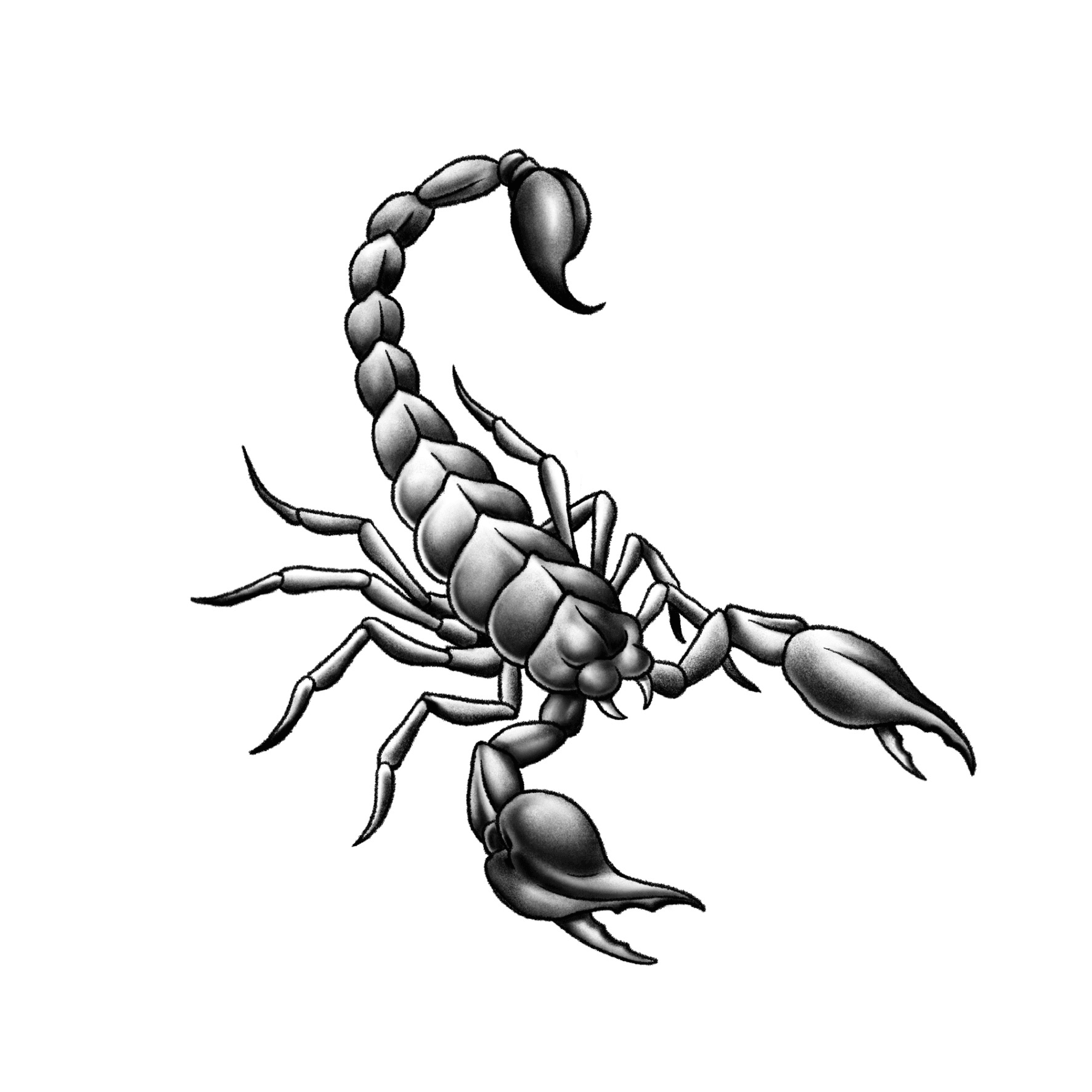 Black And Grey Scorpion Tattoo Design