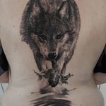 Wolf Tattoo on back black and gray