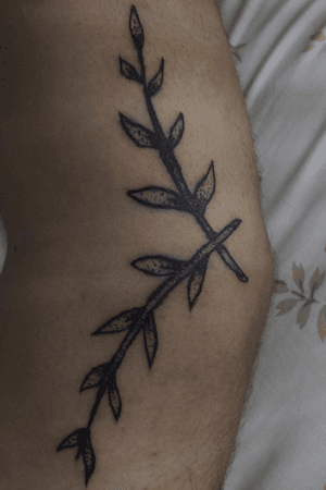 #tattoo #tattooart #tattoodesing #black #tatuaje #diseñotatuaje #dotwork #blacktattoo #olivo #olive #blackwork #blackworktattoo #puntillismo #puntillism #dotworktattoo #dotworktattoos #naturetattoo #nature 