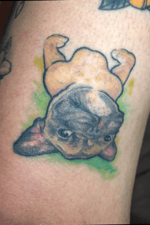 #tattooartist #dog 