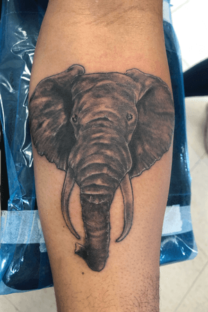 Black and Grey Elephant for a first time client