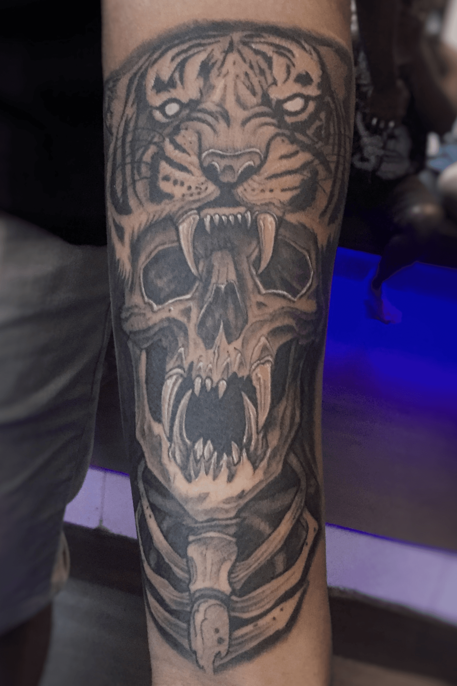 Tattoo uploaded by TattooTemple108 • Tiger & Skull Tattoo. Part of a  Forearm wrap • Tattoodo