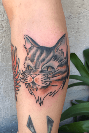 Traditional cat tattoo