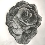Pencil Sketch Rose