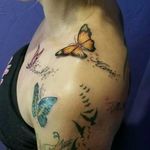 Shoulder of a tribute sleeve, client had children select their butterfly. Butterflies are placed fit with existing tattoos and work for her future tattoo plans. #tattoolife #butterflytattoo #shouldertattoo #tributetattoo #family 