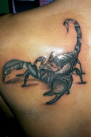 Scorpion #dmonink 