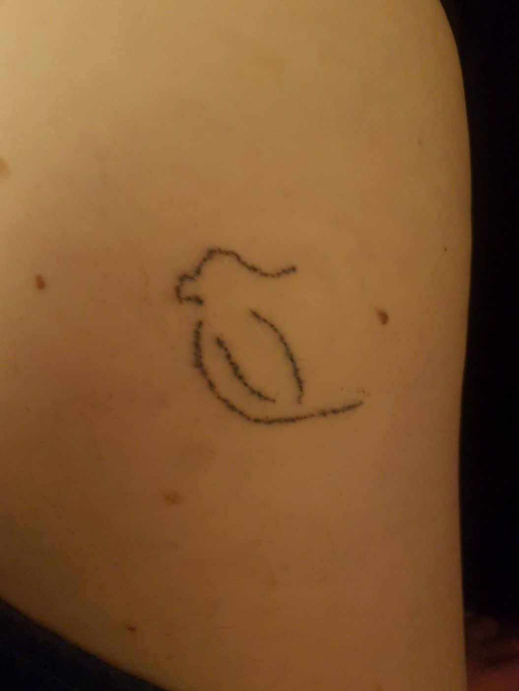 cockatiel tattoo