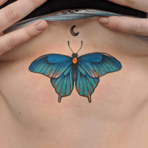 Butterfly sternum peice 