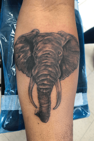 Elephant piece by Brad