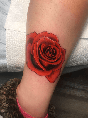 Rose tattoo from yesterday! 🌹
