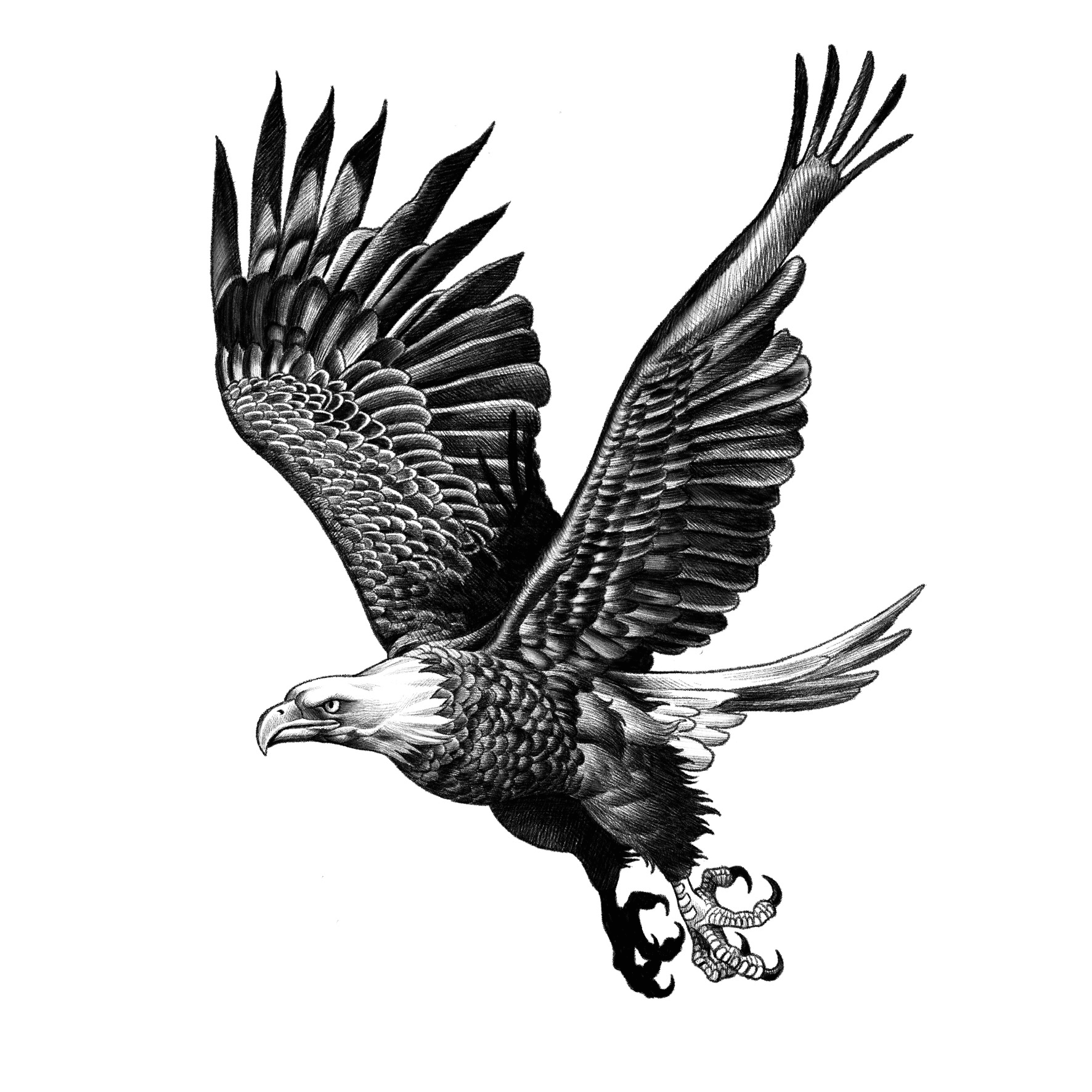 Black and White Eagle Face Tattoo Design by Morphart Creations 1643918