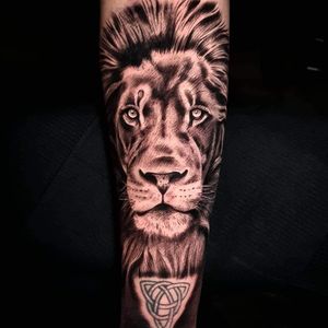 #liontattoo #realismtattoo #tattooartist 