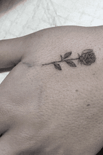 Small rose #Ink #inked #tattoo #tattooed #txttoo #inkedsociety #inkednation #tattoosofig #tattoosofinsta #inkstagram #inksta #empireinks #fkirons #criticalpowersupply #dermalizepro #hustlebutterdeluxe #nofilter #tattoorepublicsa #artist #art #design #rose #rosetattoo #hand 