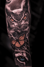 Contact: www.josecontrerasart.com #owl #buterfly #tiger #bng #joseecd #josecontreras #denton #tx #texas 
