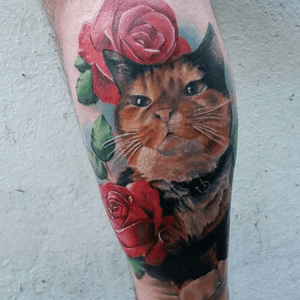 Colour realistic cat portrait by Marie.