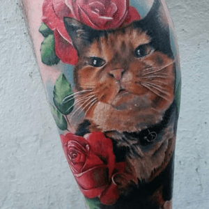 Colour realistic cat portrait by Marie.