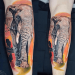 Colour realistic elephant by Marie.