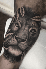 Lion tattoo. #lion #tattoo #realism 