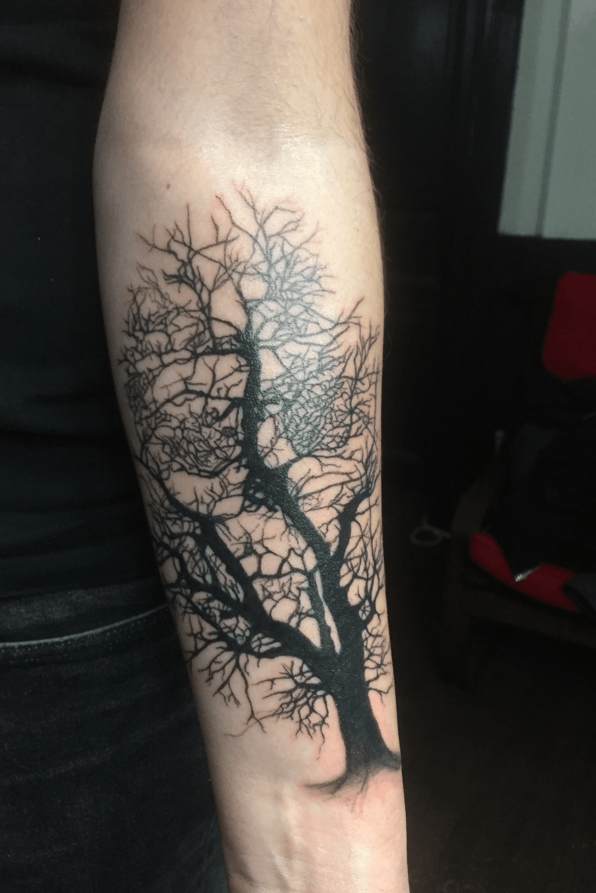Ryan Smokoska on Twitter Skull Tree Roots Galaxy tattoo  httpstco328fnFM3jr httpstcoOQOYGOq9US  Twitter