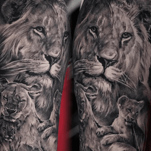 Black and grey realistic lion family by Edgar.