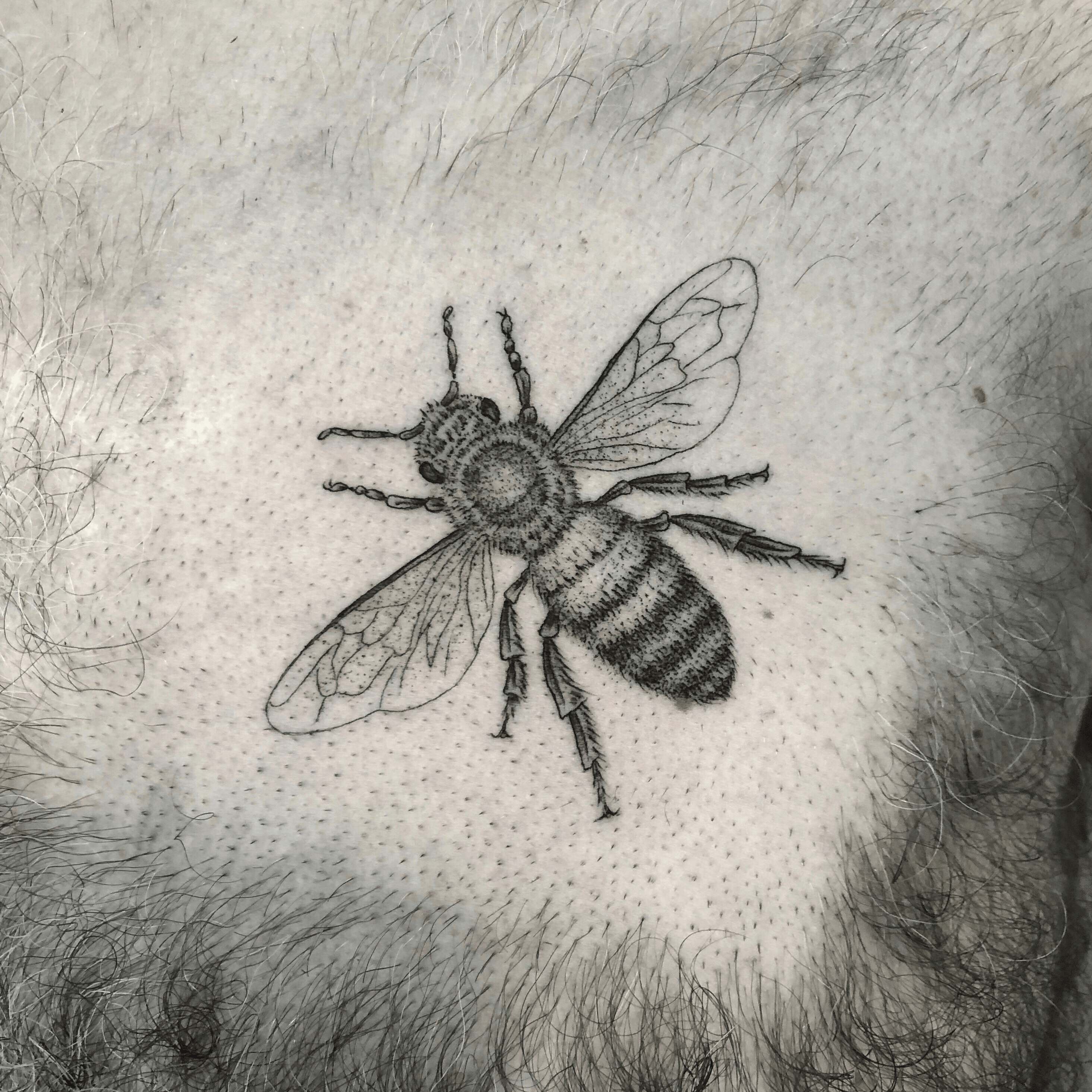 50 Bee Tattoo Designs For Men  A Sting Of Ink Ideas  Bee tattoo Tattoo  designs men Tattoos