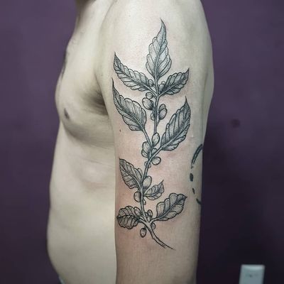 Pé de café do nosso amigo @nathangratao! 😍✍️☕ Faça já seu orçamento! (62) 9 9326.8279 #tattoo #ink #blackwork #tattoolife #Tatuadouro #love #inkedgirls #Tatouage #eletricink #igtattoo #fineline #draw #tattooing #tattoo2me #tattooart #instatattoo #tatuajes #blackink #floral #coffee #coffeetattoo #botanicaltattoo #cafe #tatuagemfeminina #tatuagemmasculina #leaf #leaftattoo
