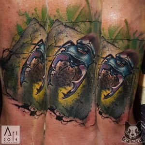 #bug #insect #nature #wild #forest #beauty #abstract #realistic #realism #color #colorfull #lucanus #arthropoda  #stagbeetle #art #artist #tattoo #tattooing #tattoos #animal #cute #hungary #budapest #minositetttetovalok