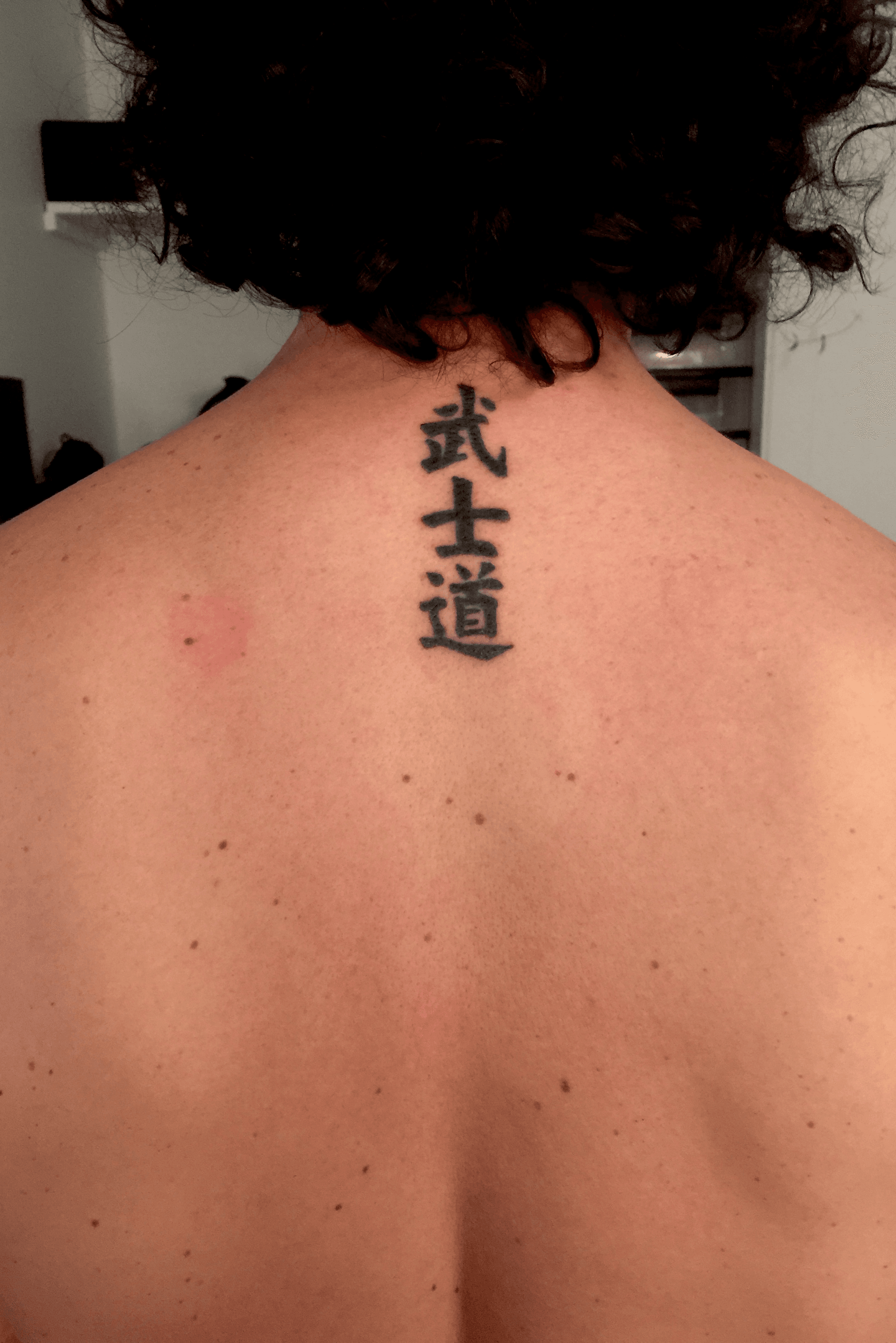Seth Rollins 2 Tattoos  Their Meanings  Body Art Guru