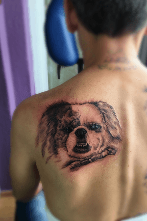Tattoo#backtattoo#dog#blackandgrey#Intenzetattooink