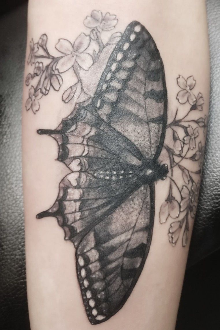 did my first butterfly tattoo the other day black swallowtail by  apprentice kingsley self at unkindness art richmond virginia  rtattoo
