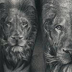 Leão #pretoecinza #blackandgray #tattoorj #tattoo2me #tattoolife 