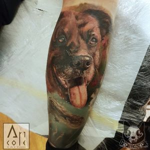 #dog #pet #animal #portrait #face #colortattoo #color #realistic #realism #details #detailed #otter #underwater #nature #wild #legtattoo #tattoo #tattoorealistic #tattooing #tattooworkers #budapest #hungary #gericsek #gericsektattooartist #art #artcore
