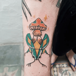 Custom bug with mushroom