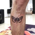 #motte #ink #tattooing #schmetterling #butterfly #butterflytattoo #animals #fineline #fineliner #5rl #5 #tattoo #tattoolife #tattoolovers #tattooselection #0711 #black #bg 