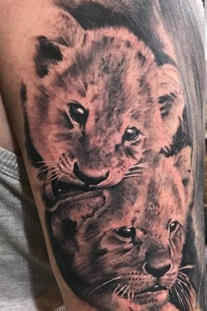 Lion Cubs added by Luke Lightwood of Vivid Ink Lichfield. 