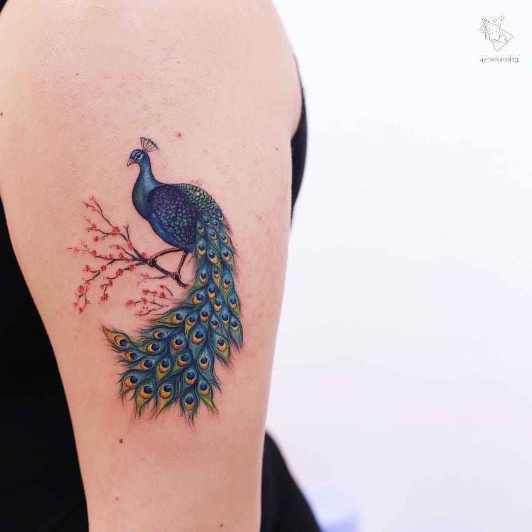 Peacock Temporary Tattoo 519 – Tintak Tattoo