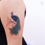 Tattoo by Ayhan Karadag #birdtattoos #birdtattoo #birds #bird #feathers #wings #flying #animal #nature #illustrative #realism #color #peacock #cherryblossoms #flowers #floral