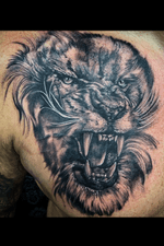 Lion portrait. Part of a full chest piece. 
