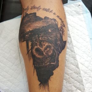 Gorilla in African continent. Black & GreyCalf tattoo. Client Niel.