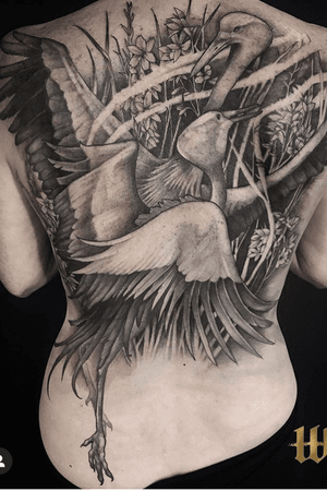 Black and grey back piece 