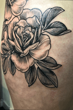 Linework/etching floral rose 