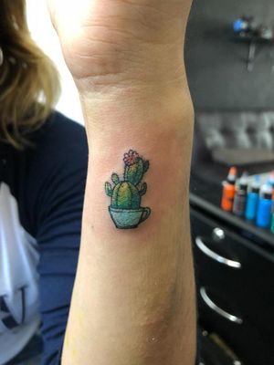 Un pequeño cactus muestra de ser una persona resiliente