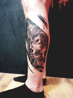 Wolf and skull