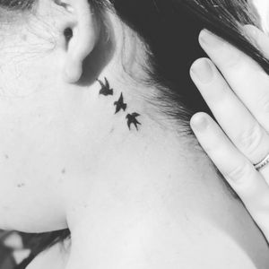 Tatuagem pássaros delicados atrás da orelha feminina Andrade Ink Tattoo Whats: 4298575342